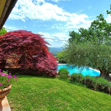 House Paradiso